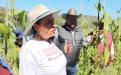 Un logro de Ana Lilia Rivera que FAO reconozca al Metepantle Tlaxcalteca como Patrimonio Agrícola Mundial imagen 1