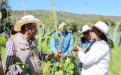 Un logro de Ana Lilia Rivera que FAO reconozca al Metepantle Tlaxcalteca como Patrimonio Agrícola Mundial imagen 2