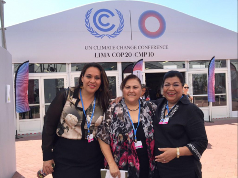 Martha Palafox habla por México en el Parlatino y en la COP20 imagen 1