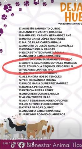 Burócratas aparecen en el padrón de beneficiarios de Bienestar Animal