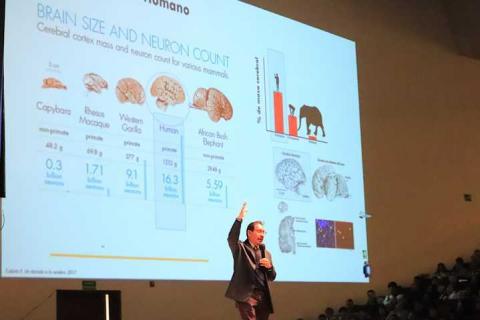 Aborda experto características del cerebro docente desde la perspectiva de la Neurociencia imagen 1