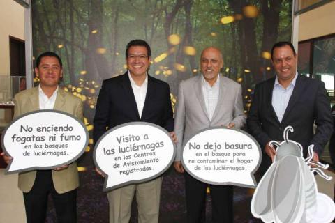 Inaugura Mena sala interactiva "Luciérnagas, encuentros de luz" imagen 2