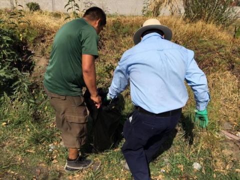 Limpiemos Nuestro México llegó a mejorar el entorno ecológico: Pérez Rojas imagen 2