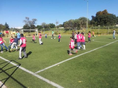 En estos cursos de verano fomentamos el deporte y la sana convivencia: alcalde imagen 2