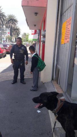 Policía municipal y base canina ubican a menor de edad que salió del CAM imagen 3