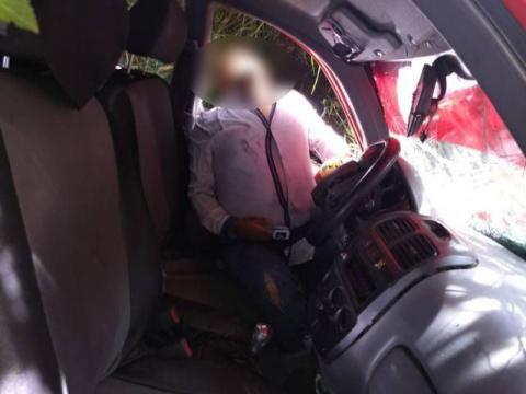 Sujeto impacta su vehículo contra un árbol y muere al instante imagen 2