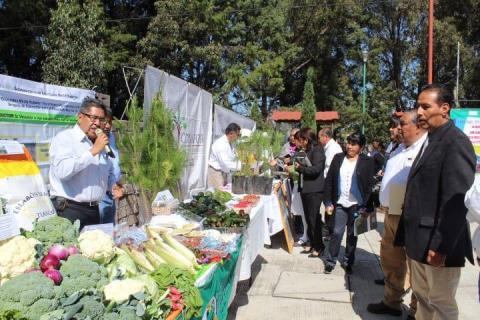 Ayuntamiento se suma a la 20ª Semana Nacional de la Cultura Forestal imagen 1