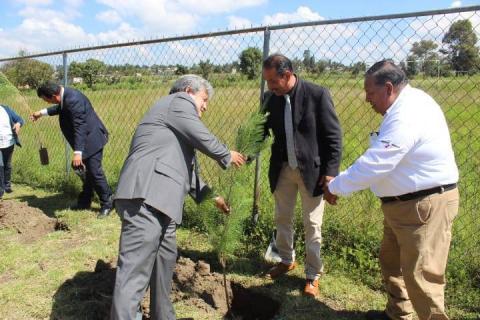 Ayuntamiento se suma a la 20ª Semana Nacional de la Cultura Forestal imagen 2