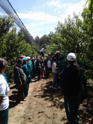 El DIF municipal celebra a los abuelitos con una visita a Altzayanca imagen 2