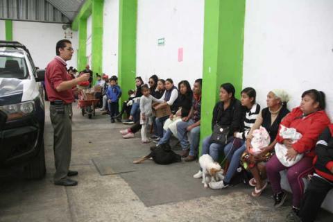 Con la campaña de esterilización evitamos proliferación de perros y gatos: regidora imagen 1