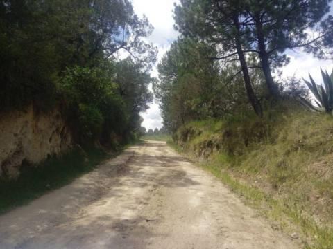 Ayuntamiento realiza rastreo y renivelación de 19 mil m2 de caminos rurales imagen 3