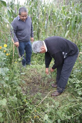Funcionarios del municipio recorren drenajes para detectar puntos colapsados imagen 2