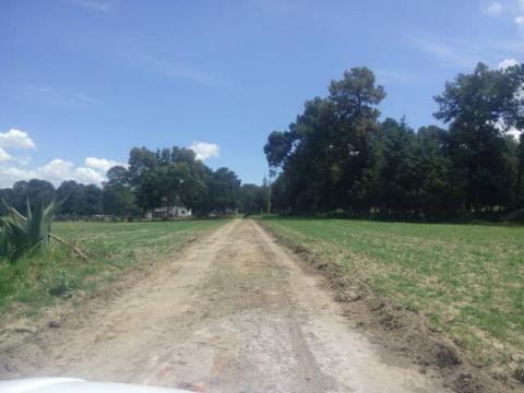 Ayuntamiento realiza rastreo y renivelación de 19 mil m2 de caminos rurales imagen 1