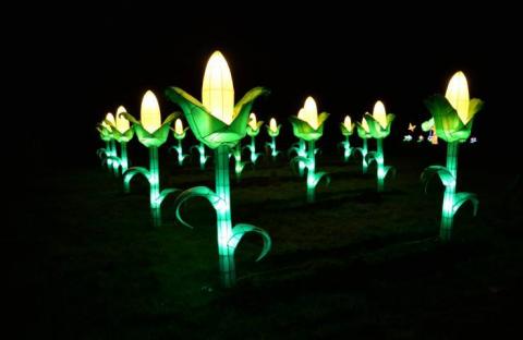 Alcalde impulsa el turismo con una “Villa Iluminada” en Laguna Azul imagen 4