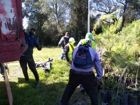 El Gobierno Municipal se alista para la gran campaña de reforestación Teolocholco 2020 imagen 6