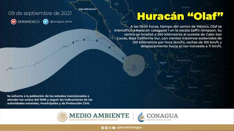 Olaf podría impactar como huracán categoría 2 en Baja California Sur
