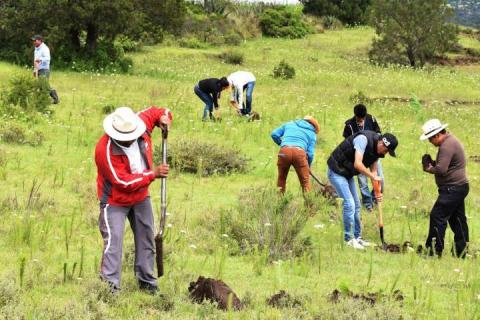 Arranca en Panotla programa de reforestación “Oxigena a tu familia” imagen 5