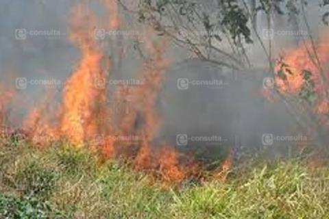 Alto el numero de incendios en Nativitas en lo que va del 2020