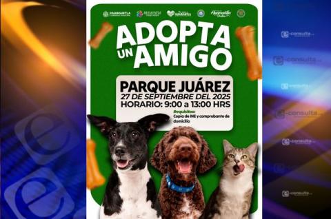 Huamantla invita a la jornada de adopción de perros y gatos en el Parque Juárez