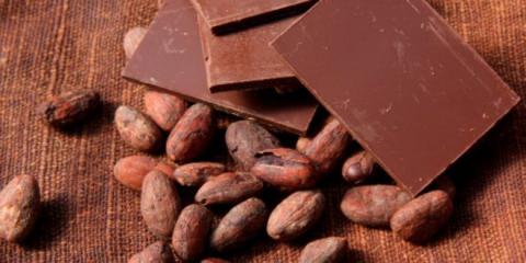 La industria chocolatera busca reactivar el cultivo del cacao en el campo mexicano