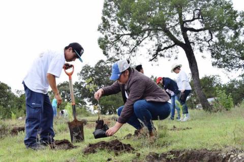 Arranca en Panotla programa de reforestación “Oxigena a tu familia” imagen 3