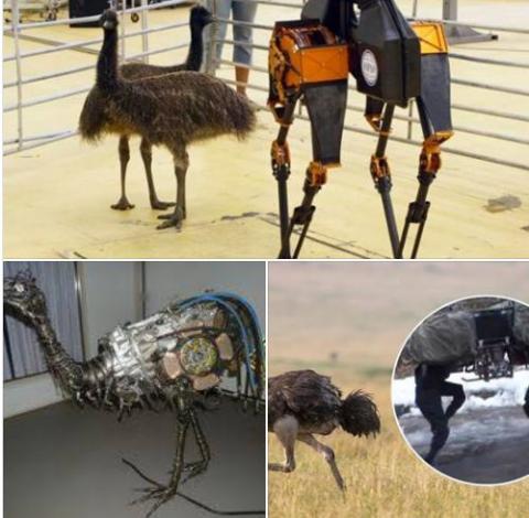 Terraplanistas aseguran que la tierra es plana y que los animales son robots