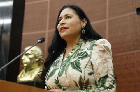 Satisfacción por balance positivo durante el último año en el Senado: Ana Lilia Rivera