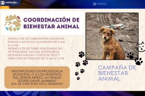 Ayuntamiento de Tecopilco anuncia la campaña de vacunación para mascotas