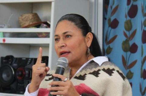 Ana Lilia Rivera respalda estrategia de seguridad de Sheinbaum