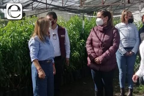 Michaelle Brito y Lorena Cuéllar recorren el municipio de Tlaxco