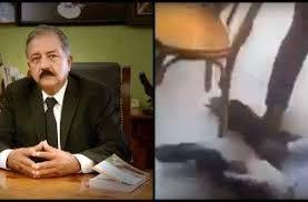 ¡Fake News! Graban a gato atacando al alcalde de Culiacan