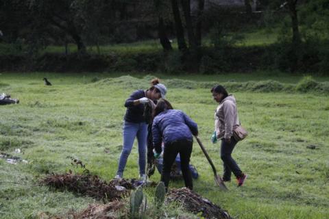 Ayuntamiento realiza faena de limpieza en barrancas del municipio imagen 1