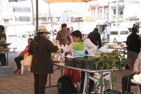 Con el Mercado Alternativo activamos la economía de los productores: GCC imagen 2