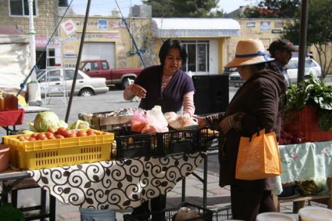 Con el Mercado Alternativo activamos la economía de los productores: GCC imagen 4