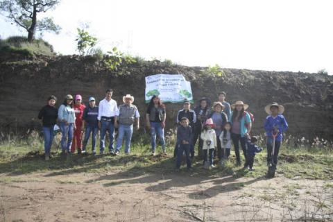 Alcalde encabezo reforestación en el cerro de Otongatepetl imagen 4