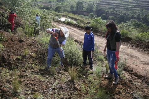 Alcalde encabezo reforestación en el cerro de Otongatepetl imagen 2