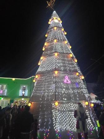 Participa Ana Lilia Rivera en el encendido del árbol navideño en Tlalcuapan imagen 2