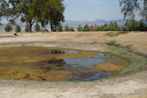 La falta de lluvias está acabando con la reserva ecológica de Tecoaque imagen 4