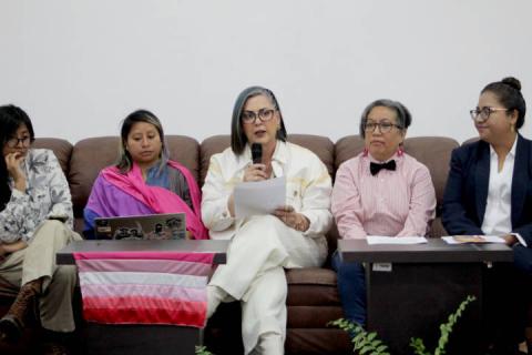 Acuerdan CEDH y La Cabilda agenda para visibilizar a las poblaciones lésbicas y bisexualas imagen 1