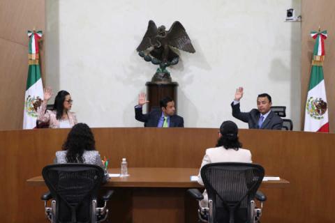 El TEEM debe analizar la autodeterminación del municipio indígena de Xoxocotla imagen 1