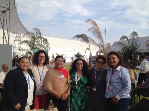Martha Palafox habla por México en el Parlatino y en la COP20 imagen 3
