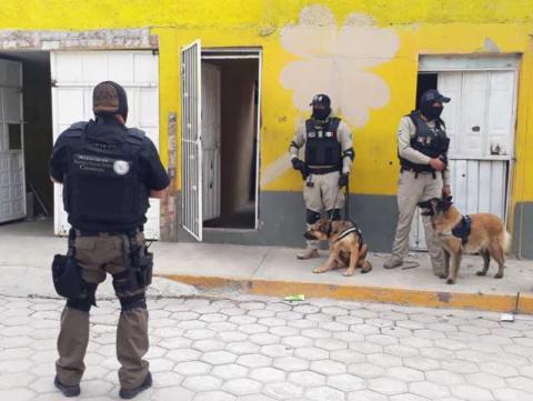 Realizan cateo en Calpulalpan; decomisan armas y drogas, hay dos detenidos imagen 3