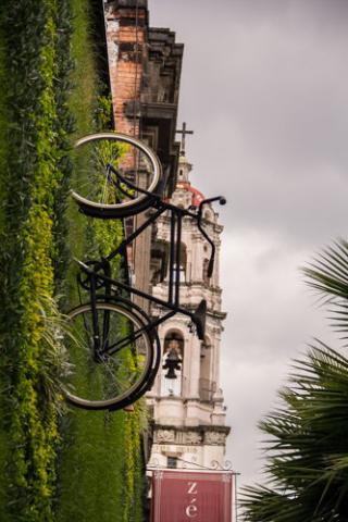 Jardín vertical Restaurante Padrinos Centro Histórico 