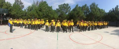 Refuerza México apoyo a Canadá, viajarán 102 combatientes más imagen 2