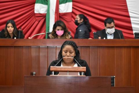 Que comunas elaboren presupuestos de egresos con perspectiva de género, propone Brenda Cecilia Villantes imagen 1