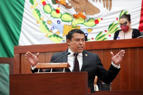 Terán, el único diputado defensor de la 4T en el Congreso, los demás ni sus luces