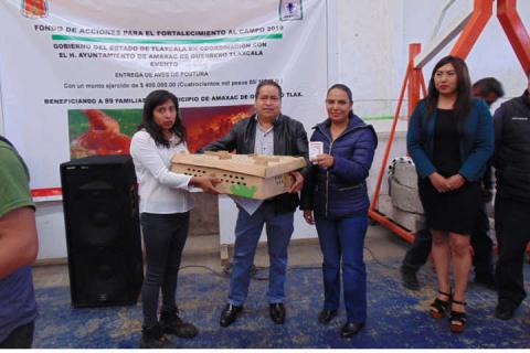 Carin Molina impulsa la economía de 89 familias con paquetes de pollos imagen 3