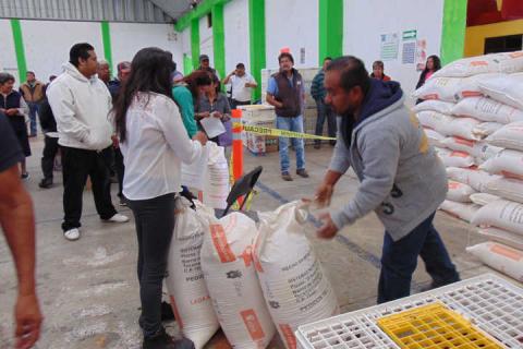 Carin Molina impulsa la economía de 89 familias con paquetes de pollos imagen 1