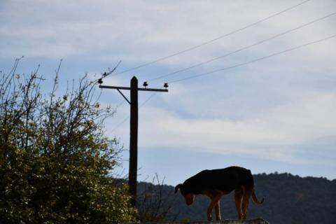 Gestiona PC de Tlaxco más de 1 km de luz pública en Atotonilco imagen 4