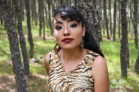 Preparan Elección de Reina de Feria Tlaxco 2018 imagen 3